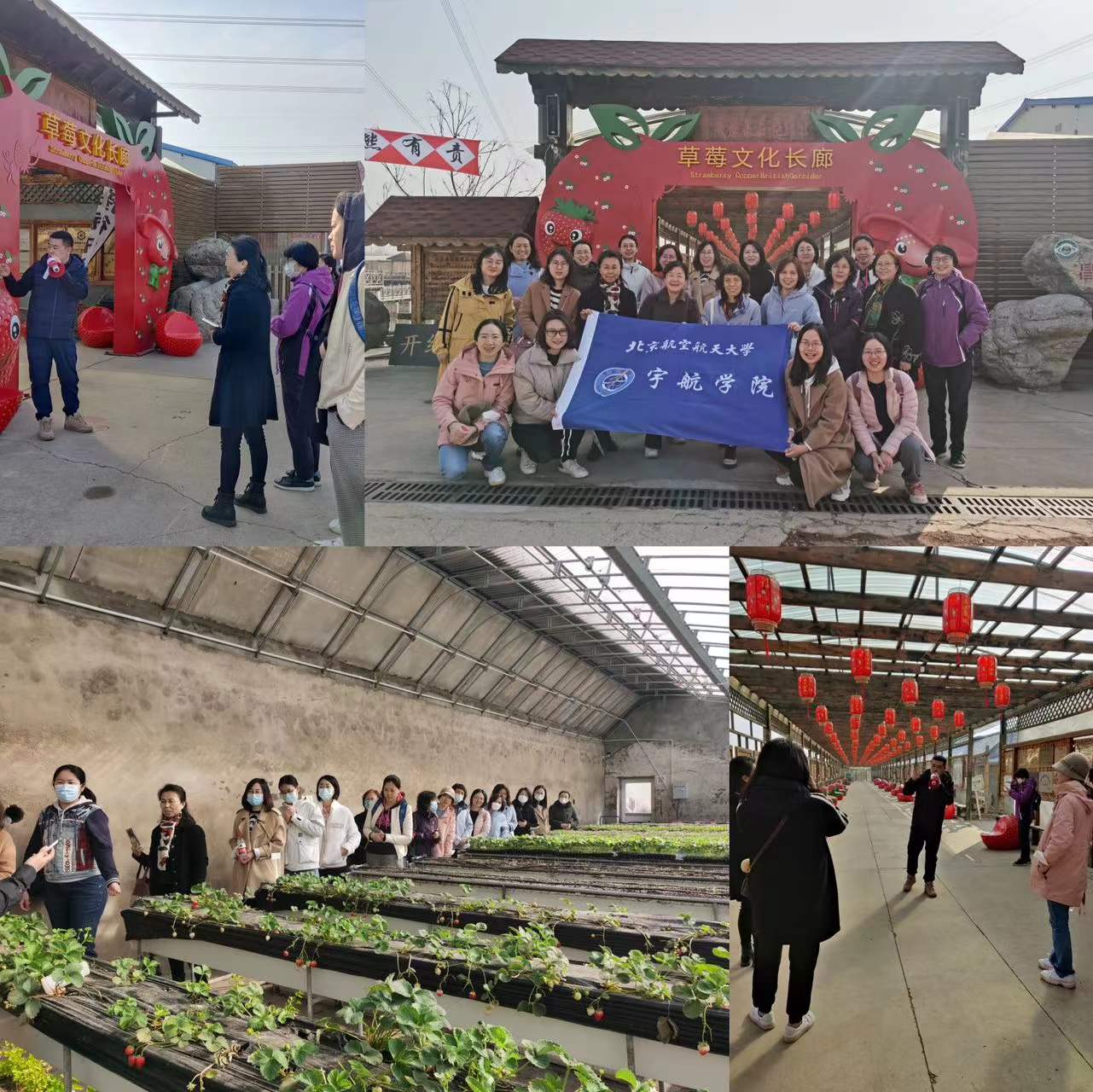 BG大游·(集团)视讯官方网站